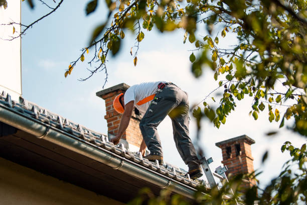 Quick and Trustworthy Emergency Roof Repair Services in North Springfield, VA